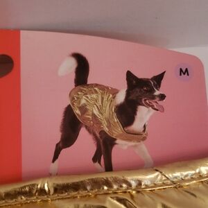 🤯3/$12 Boots & Barkley Gold Bubble Pet Vest Medium NWT